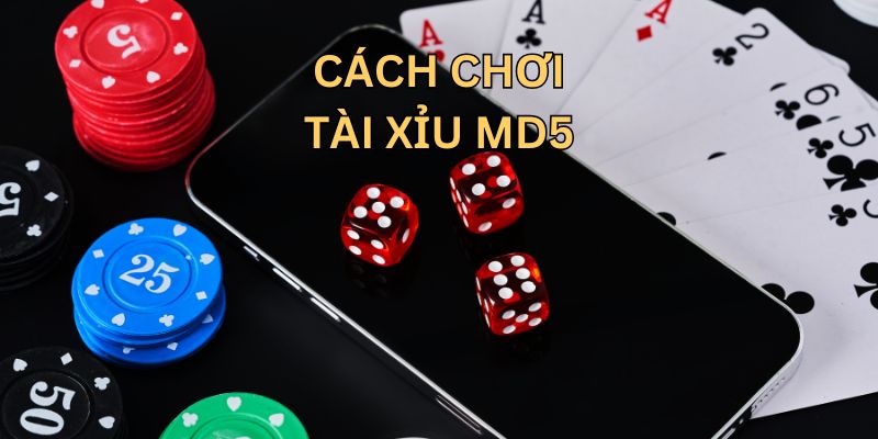 Cách chơi tài xỉu MD5 cơ bản Cách chơi tài xỉu MD5 cơ bản