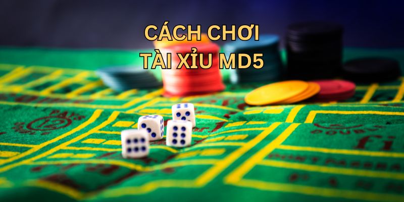 Mẹo cược tài xỉu MD5 của dân chơi chuyên nghiệp Mẹo cược tài xỉu MD5 của dân chơi chuyên nghiệp