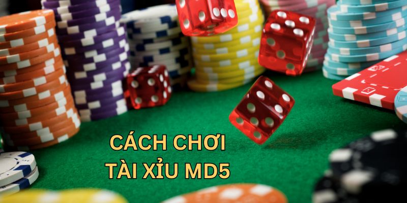 Mẹo cược tài xỉu MD5 của dân chơi chuyên nghiệp Mẹo cược tài xỉu MD5 của dân chơi chuyên nghiệp