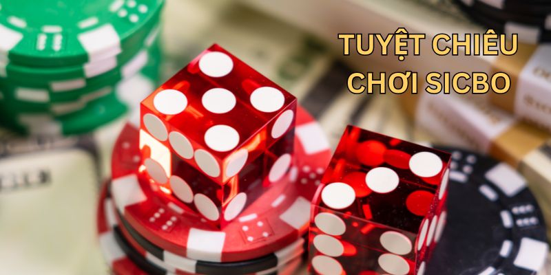 Các tuyệt chiêu chơi sicbo không ai mách cho bạn Các tuyệt chiêu chơi sicbo không ai mách cho bạn